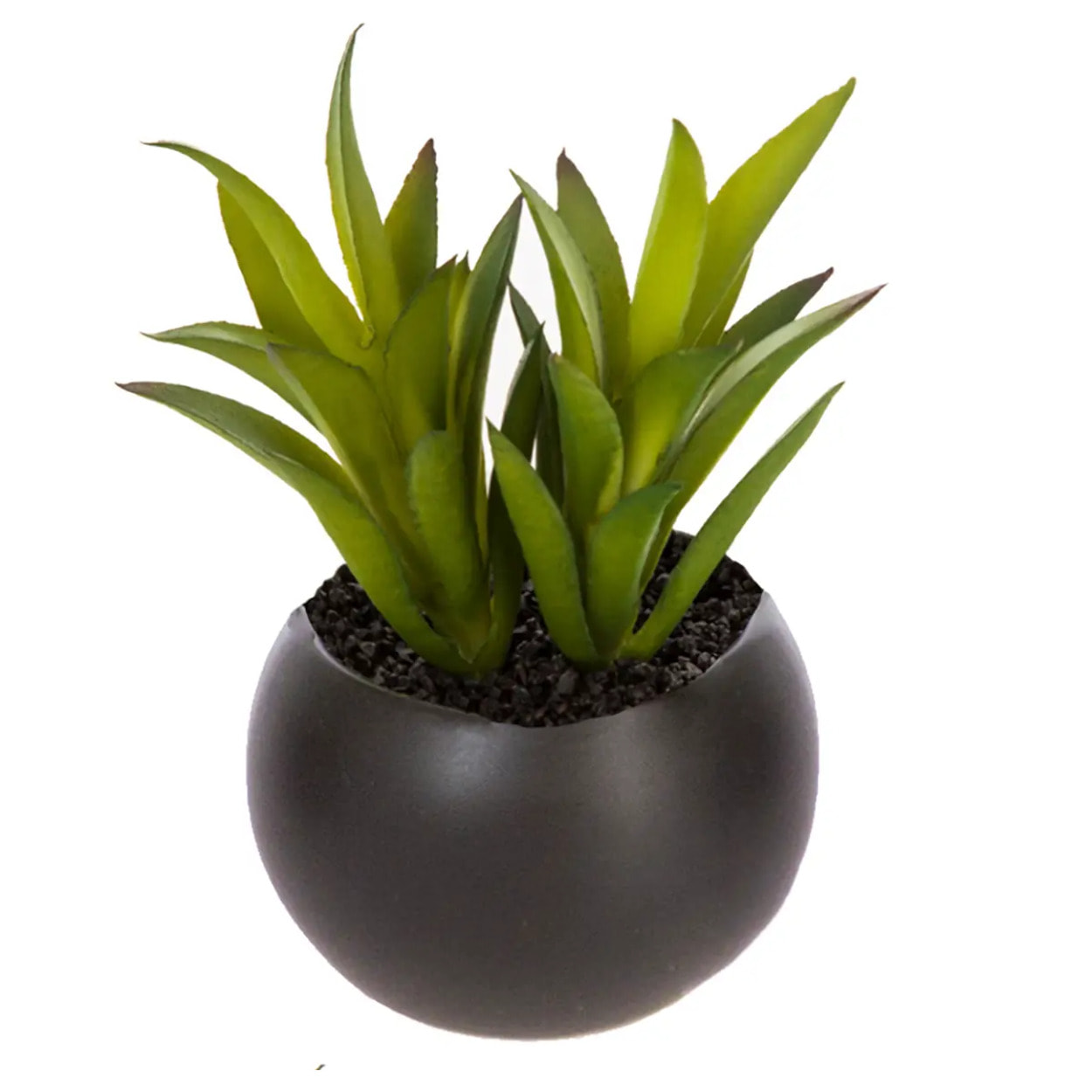 Plante grasse artificielle - pot en céramique - H8 cm