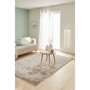 Cosy - tapis salon à poils longs tout doux, taupe