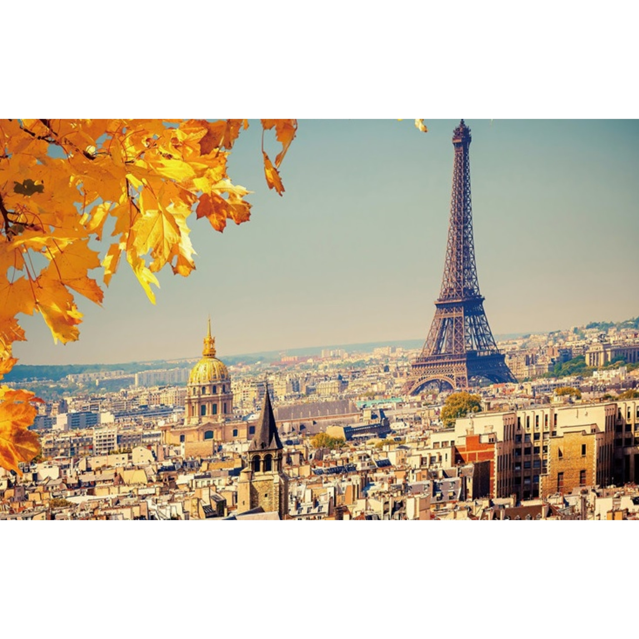 PUZLE DE 1000 PIEZAS: TORRE EIFFEL