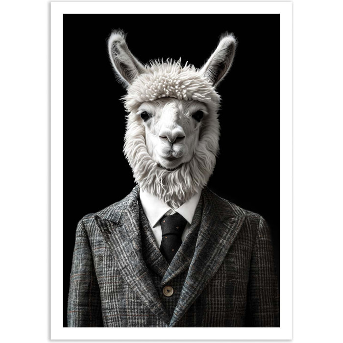 Affiche - Alpaca Wild Suits - Philippe Hugonnard