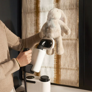 Nettoyeur vapeur LAURASTAR AURA