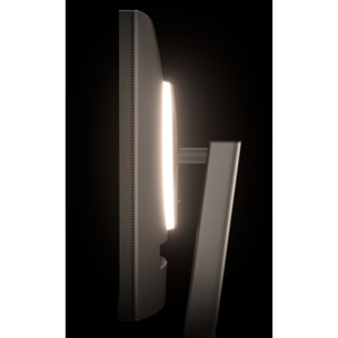 Ecran BENQ RD320U 32''