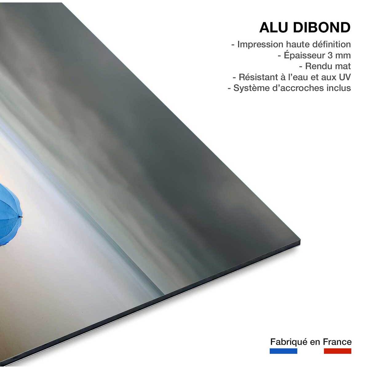 Tableau parapluie bleu Tableau alu Dibond