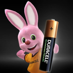 Pile rechargeable DURACELL AA/LR06 PLUS POWER 1300 mAh, x4