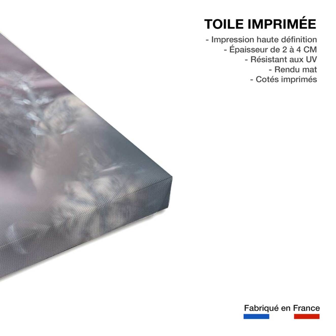 Tableau fleurs carmen  Toile imprimée