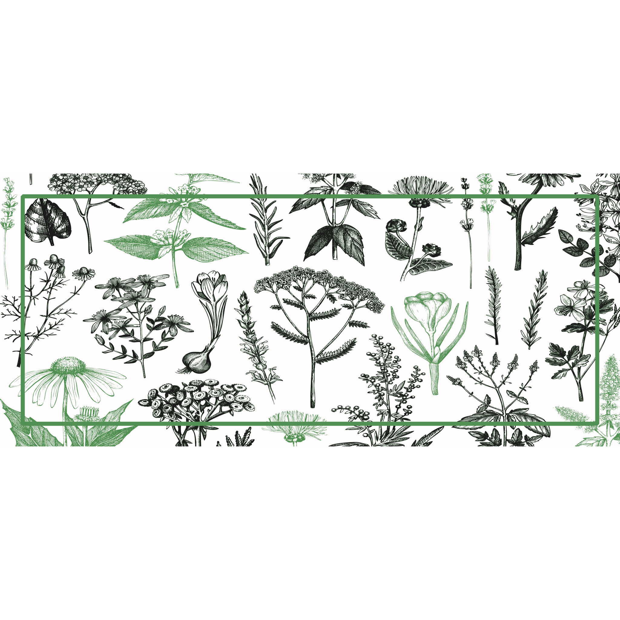 Alfombra de vinilo CERAMIKO, Plantass medicinales menta 66x150 cm