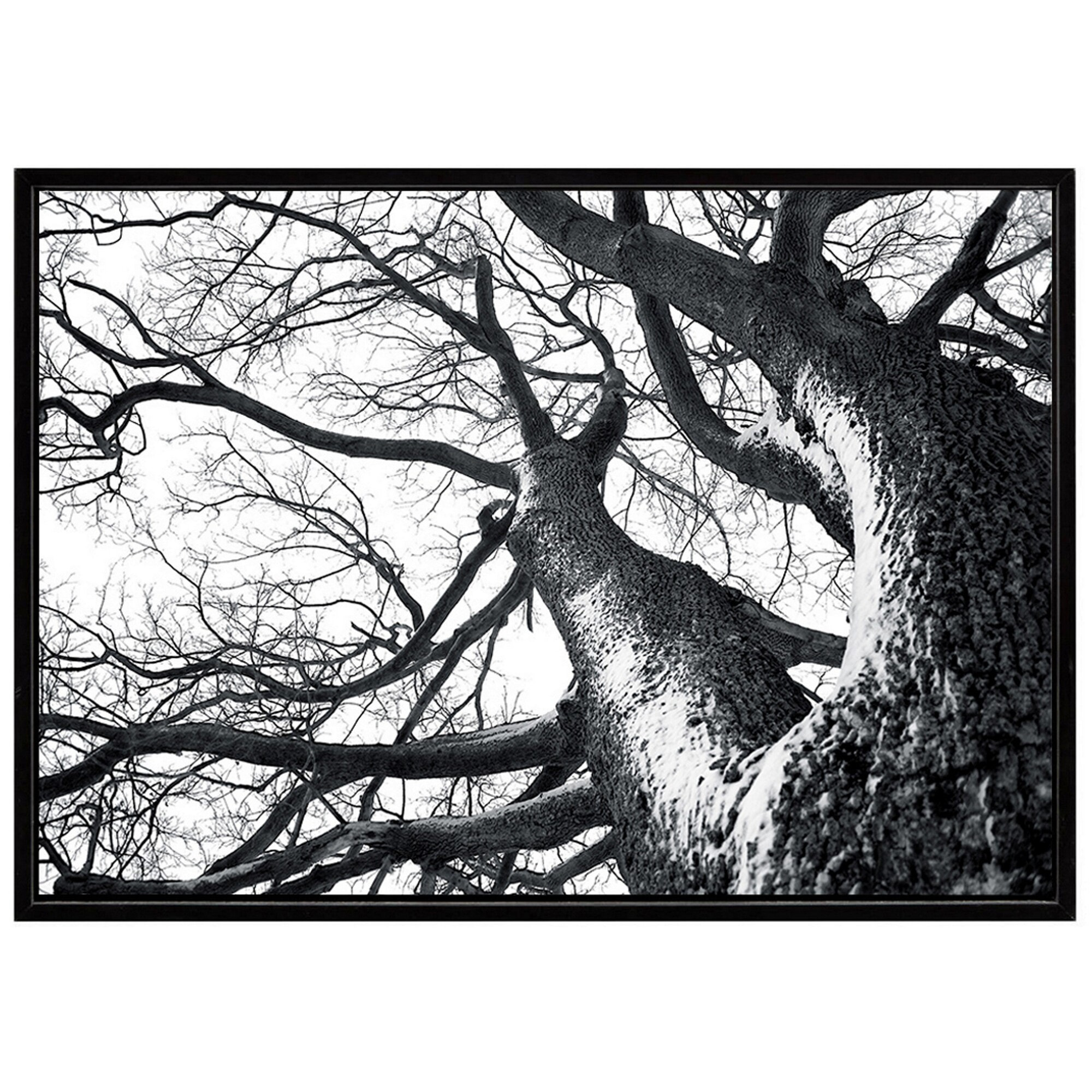 Tableau décoratif Tomasucci WINTER TREE, en MDF et PVC, noir, 140 × 3 × 90 cm