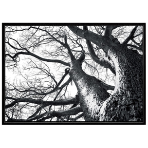 Tableau décoratif Tomasucci WINTER TREE, en MDF et PVC, noir, 140 × 3 × 90 cm