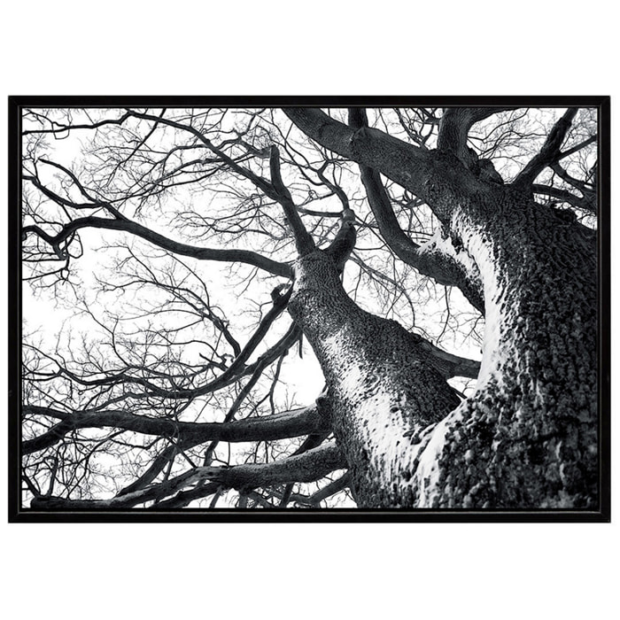 Tableau décoratif Tomasucci WINTER TREE, en MDF et PVC, noir, 140 × 3 × 90 cm