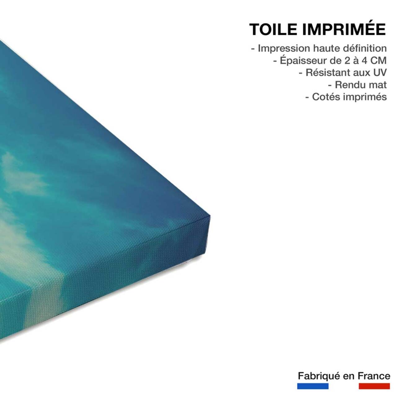 Tableau skater Toile imprimée