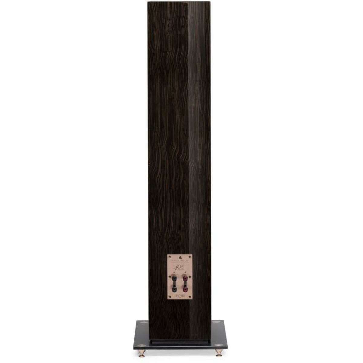 Enceinte colonne TRIANGLE ANTAL 40e anniversaire Palissandre X1