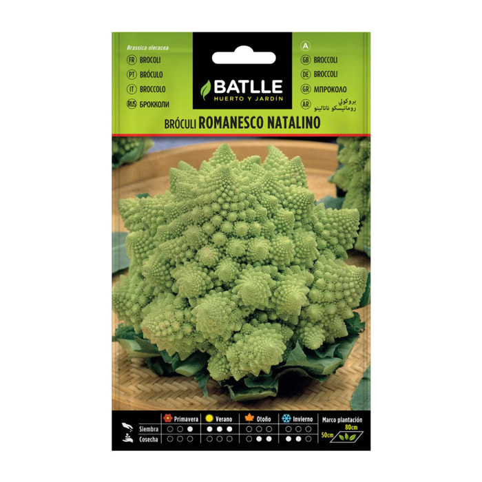 Semillas de Brócoli Romanesco Natalino Batlle