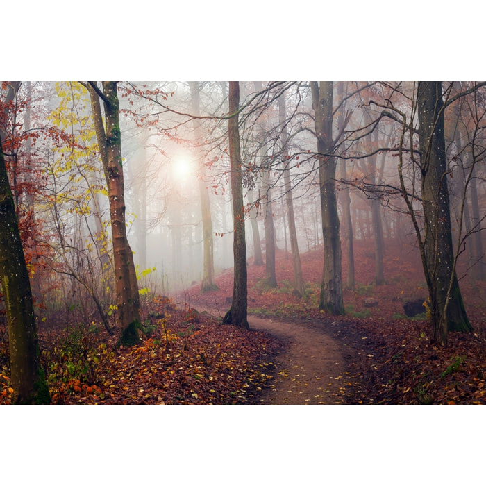 Tableau Automne jaune Tableau plexiglas