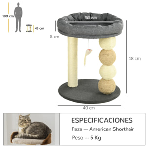 Árbol Rascador para Gatos Pequeño Torre para Gatos Centro de Actividades para Gatitos con Nido 4 Bolas y Poste de Sisal Carga 15 kg Ø40x48 cm Gris y Beige