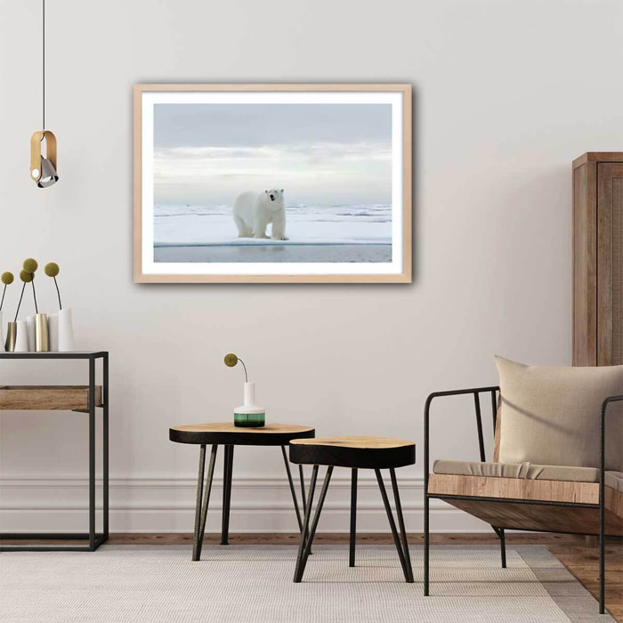 Affiche ours blanc sur la banquise Affiche sous cadre bois