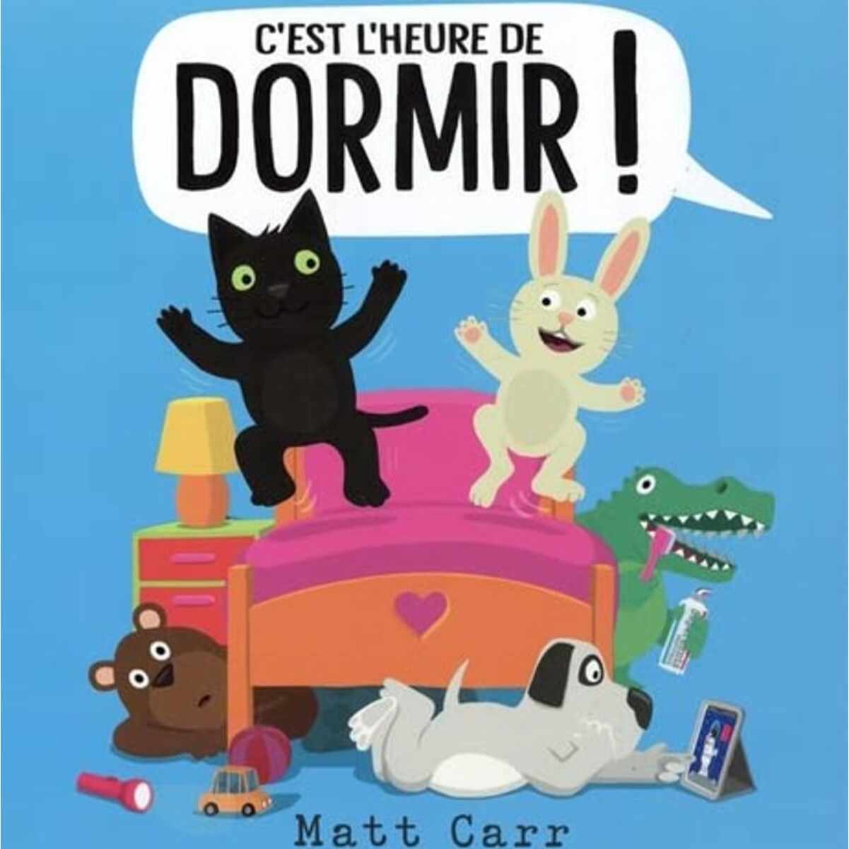 CARR, Matt | C'EST L'HEURE DE DORMIR ! | Livre d'occasion