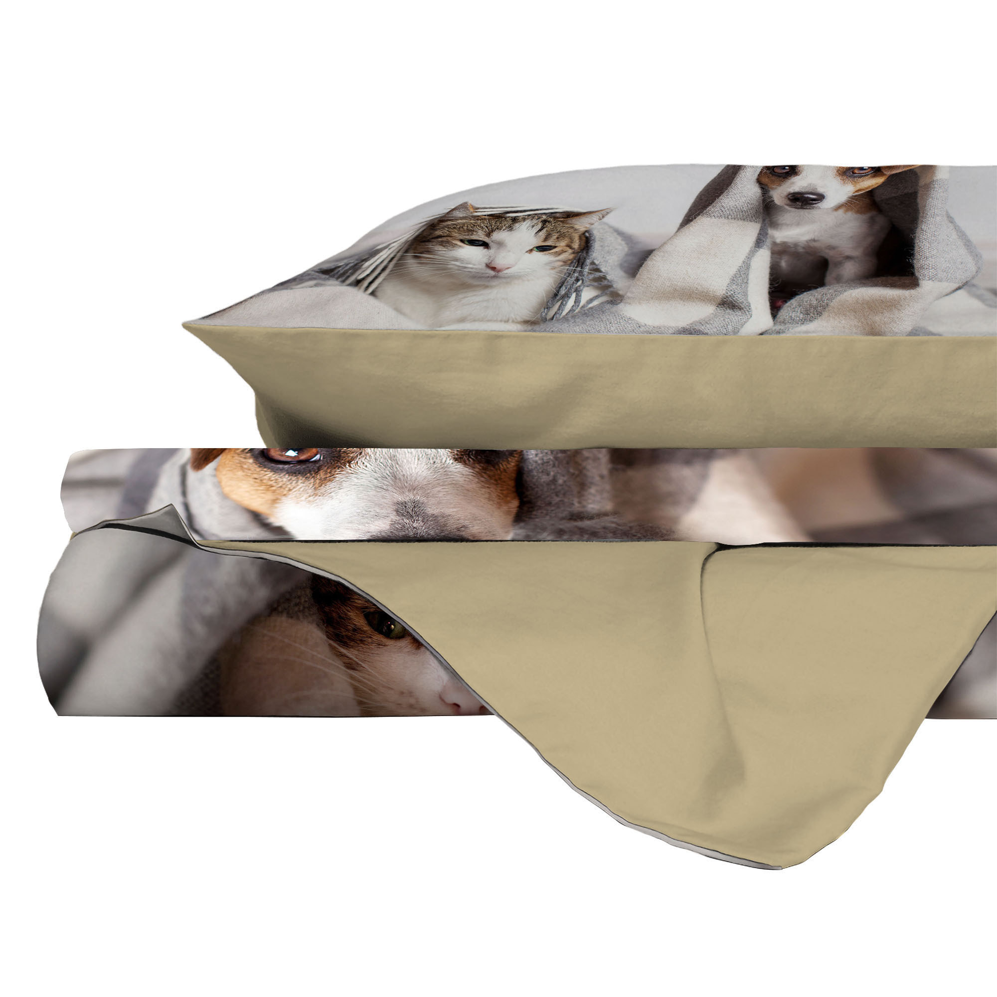 PARURE COPRIPIUMINO GOODNIGHT SINGOLO - STAMPA DIGITALE 100% Microfibra