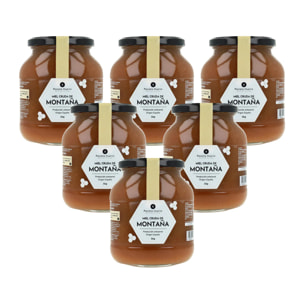 Pack 6x Miel Cruda de Montaña Planeta Huerto 1 Kg