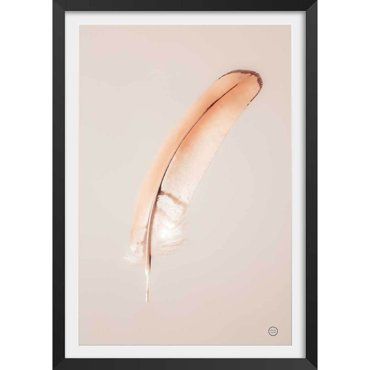 Affiche enfant plume flottante  Affiche + cadre en bois - Noir