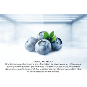 Réfrigérateur combiné TCL RF282BSE0