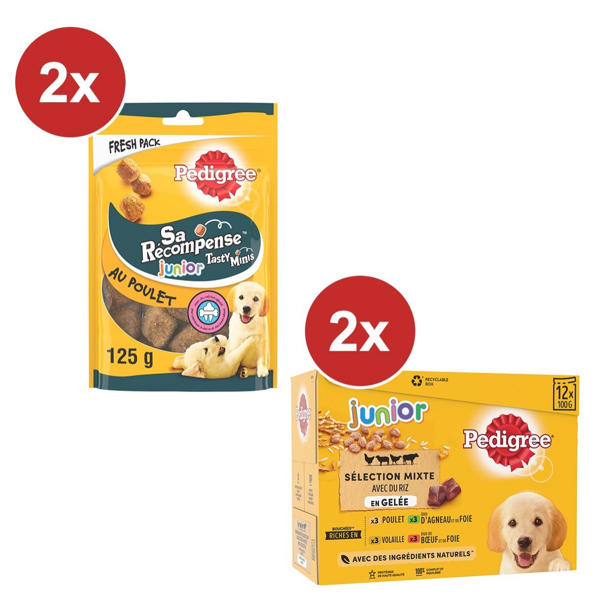 PEDIGREE Box pour chiot: 2 sachets de Friandises + Repas en gelée (24x100g)