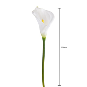 Fiore Di Calla Semi Aperta. Altezza 66 Cm - Pezzi 6 - 5X66X5cm - Colore: Bianco - Bianchi Dino - Fiori Artificiali