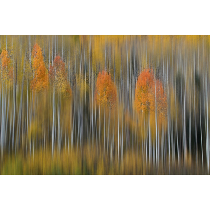 Tableau Impression d'automne Tableau plexiglas