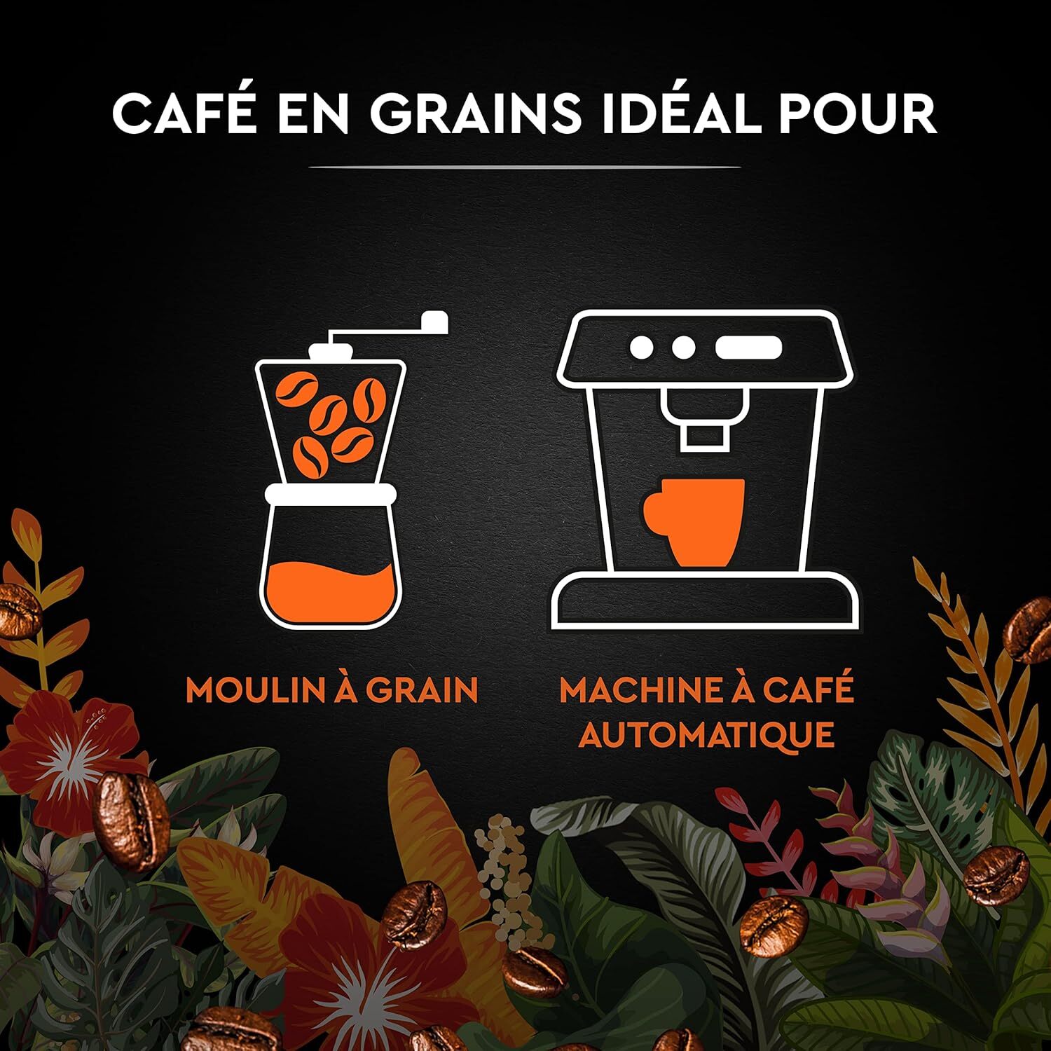 Carte Noire Grains Secret de Nature 2 Catuai 1 KG