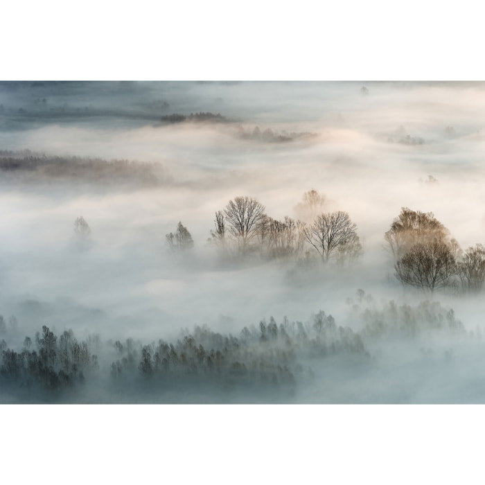 Tableau brouillard hivernal Toile imprimée