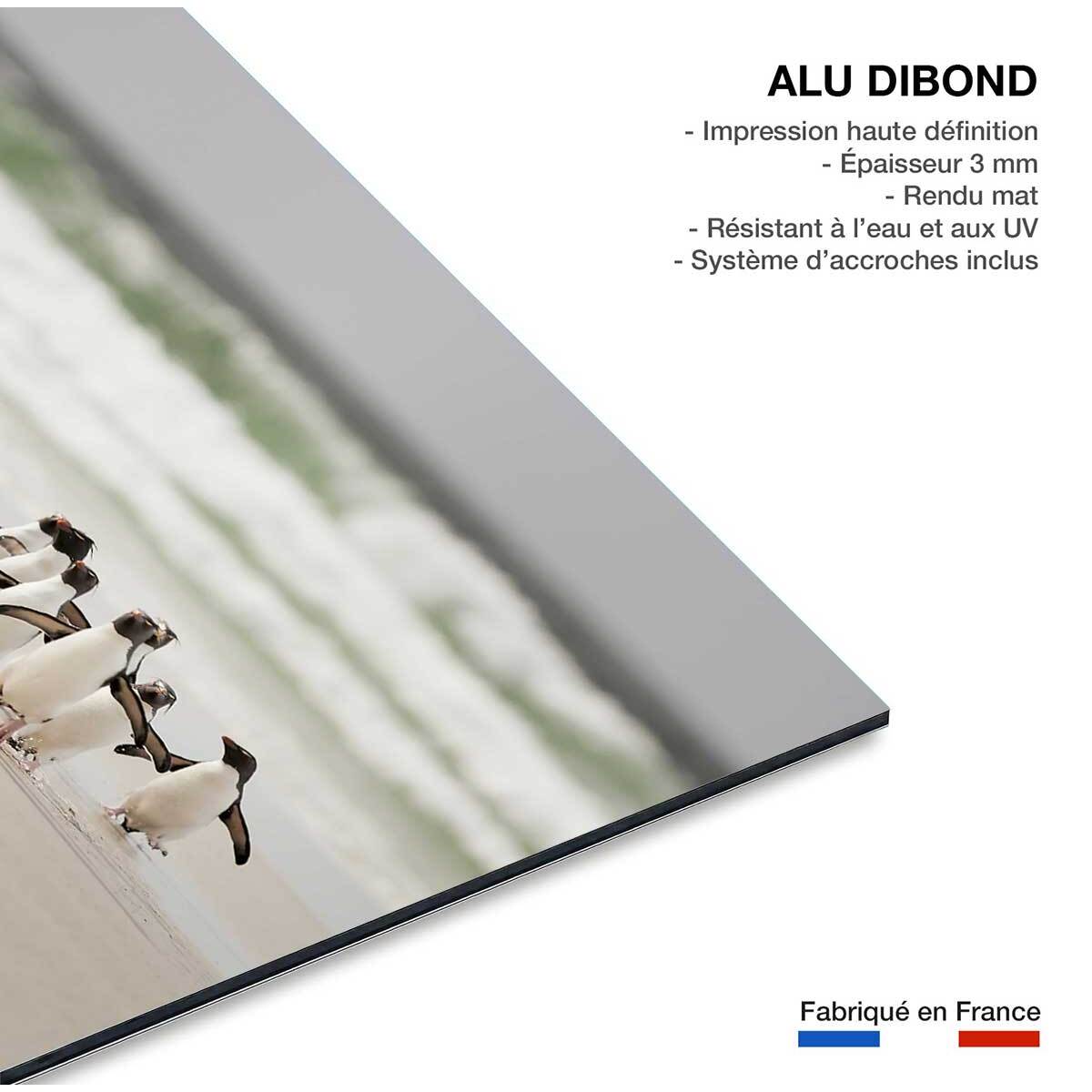Tableau animaux pingouins Tableau alu Dibond