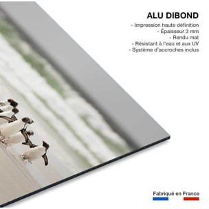 Tableau animaux pingouins Tableau alu Dibond