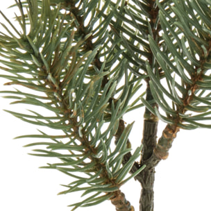 Abete pick - Pezzi 48 - 8xH24x6cm - Bianchi Dino SpA