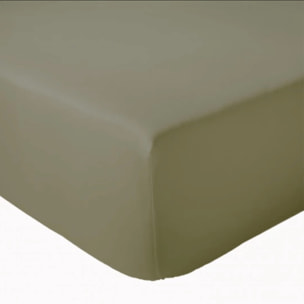 Drap Housse coton bonnet 23 cm fabriqué en France - Taupe