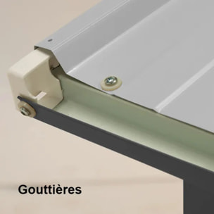 Abri de jardin métal Yardmaster 4,2 m² + kit d'ancrage