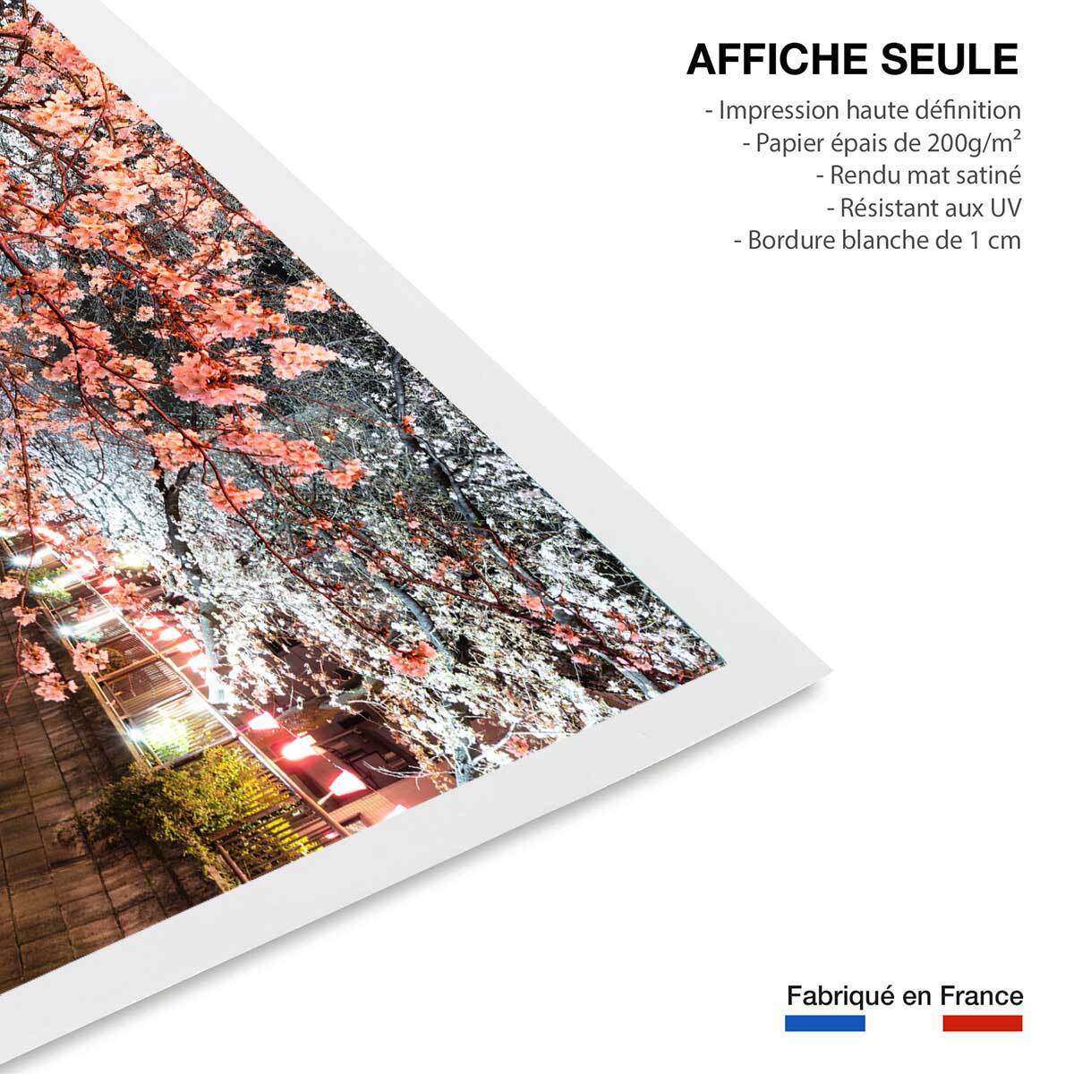 Affiche photo cerisiers et hanami à tokyo Affiche seule