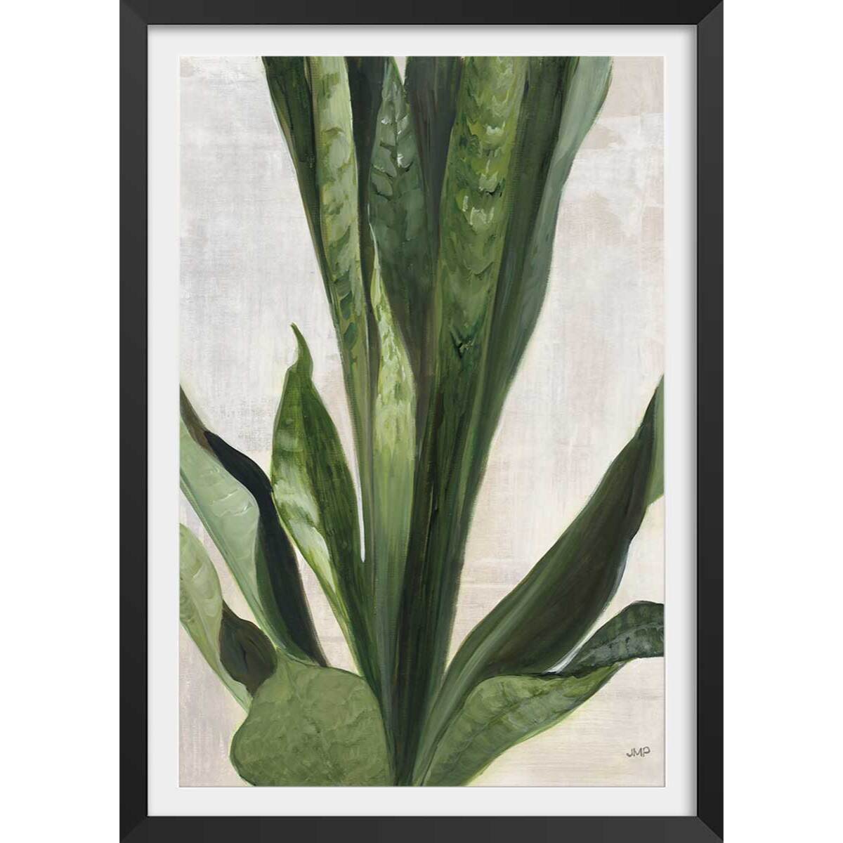 Poster Sanseveria aquarelle Affiche + cadre en bois - Noir