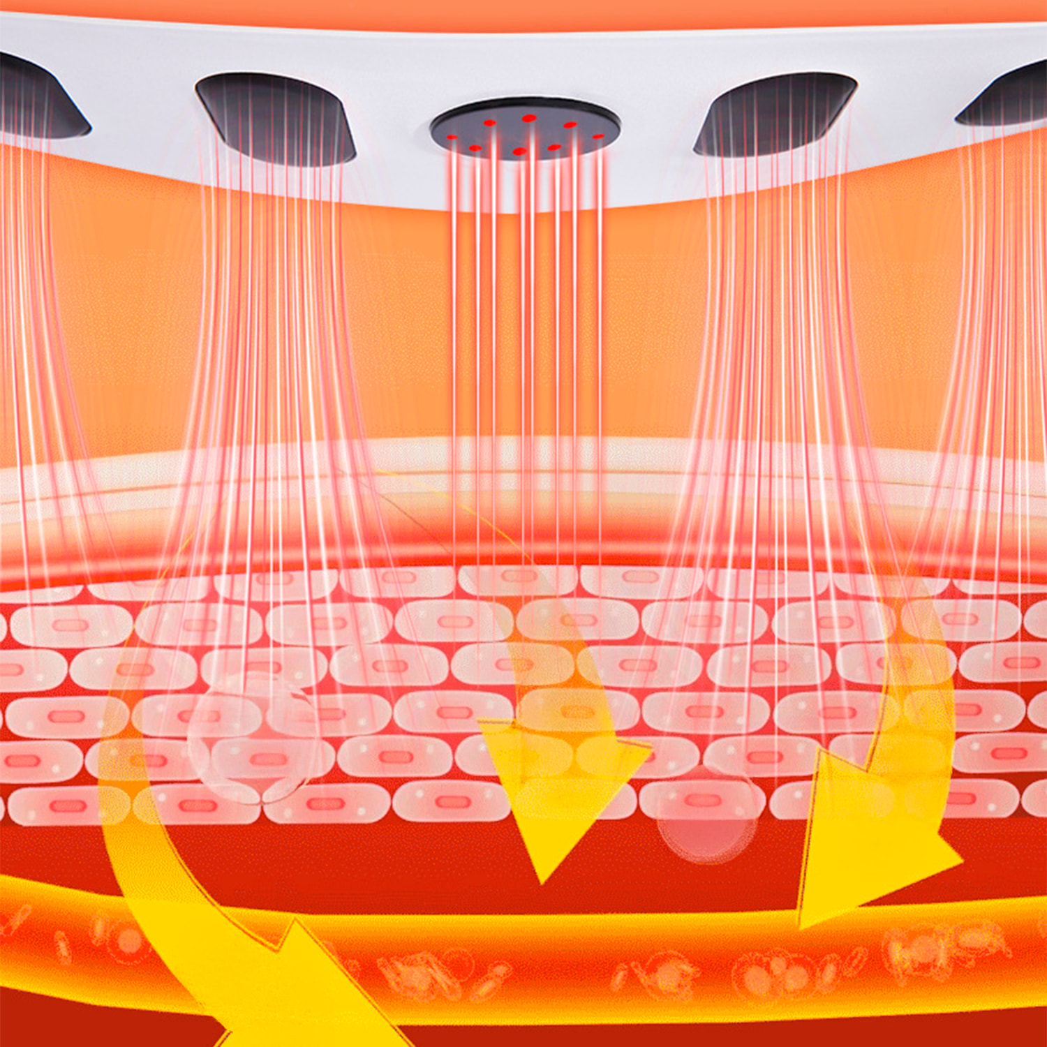 Cintura EMS con 3 intensità di calore, 8 modalità di massaggio e 9 livelli di potenza.
