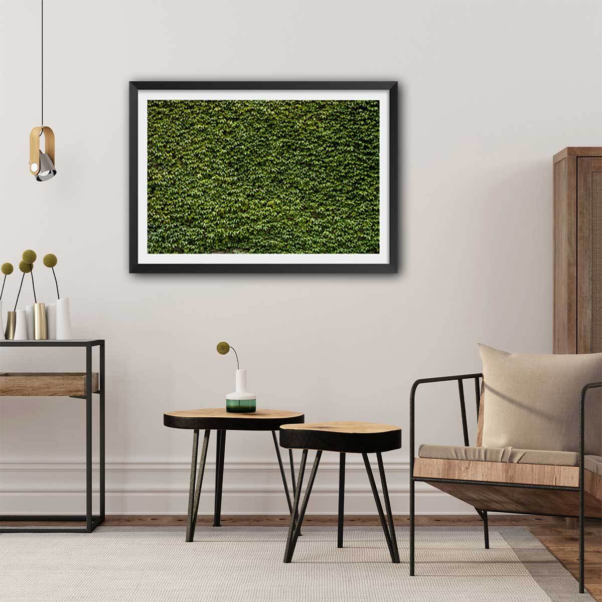Affiche nature mur de lierres Affiche sous cadre noir