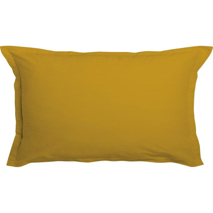 Lot De 2 Taies D'oreiller 100% Coton 57fils Safran