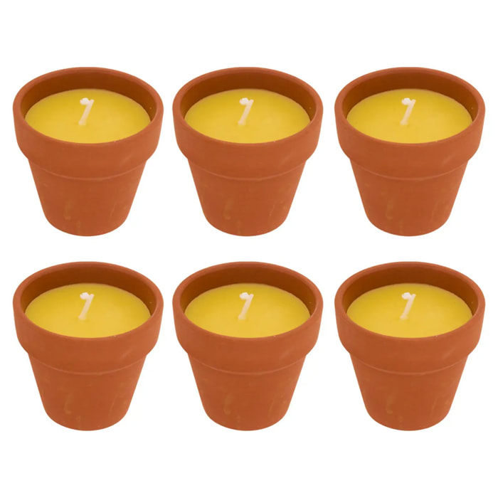 Lot de 6 bougies 39g Terry parfumées à la citronnelle pot en terre cuite