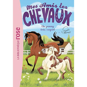 Livre, Hachette | Mes amis les chevaux 26 - Un poney très coquet | Livre d'occasion