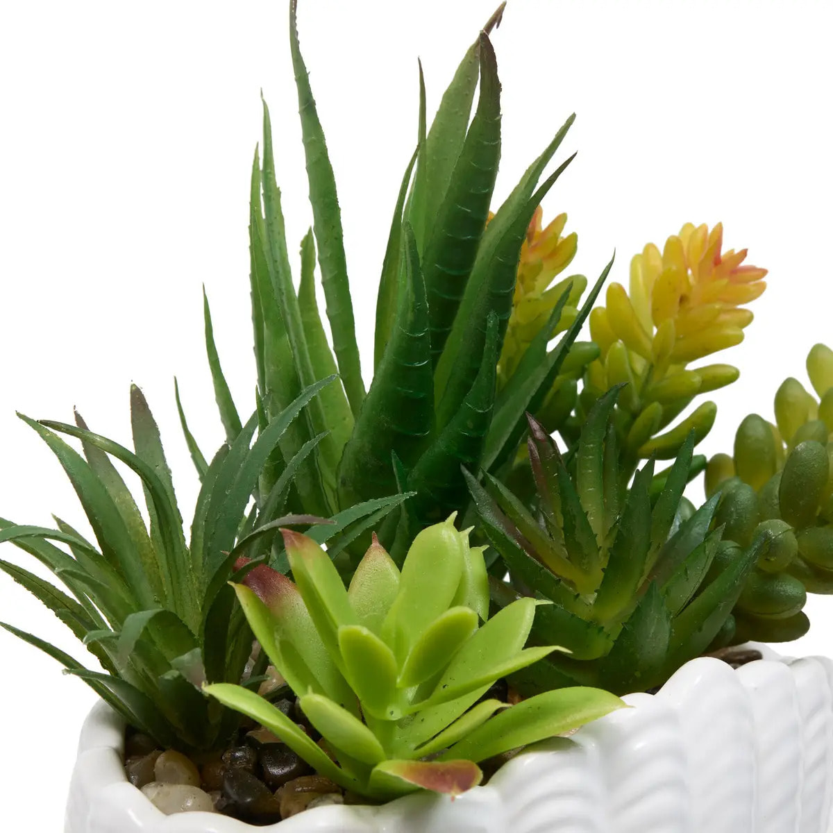 Plante Artificielle Ocea avec Pot Coquillage H20cm Blanc