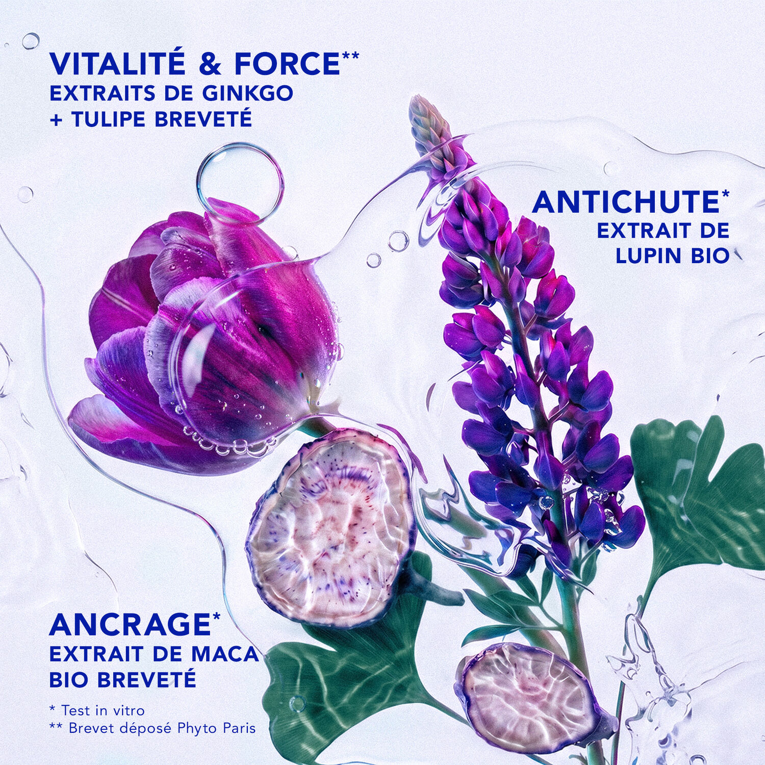 Phytocyane - Shampooing Antichute Femme