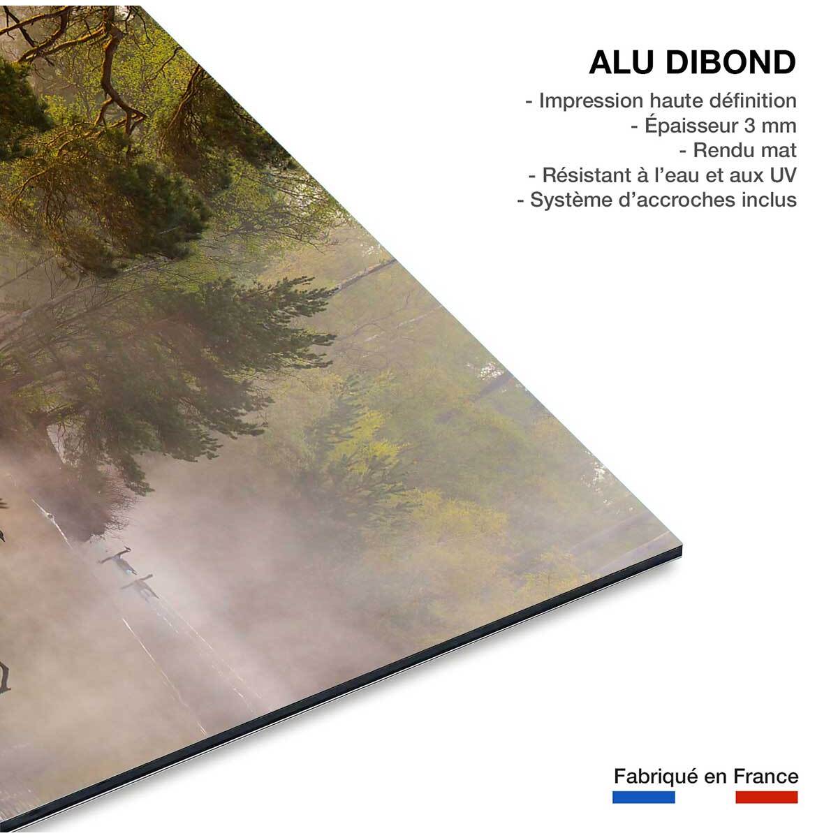 Tableau oies sauvages Tableau alu Dibond