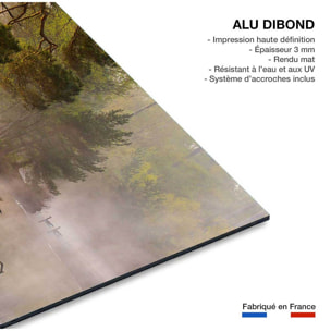 Tableau oies sauvages Tableau alu Dibond