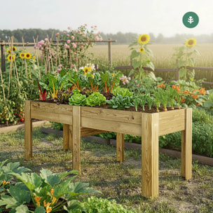 Mesa de Cultivo Huerto XXL80 Planeta Huerto (200X80X80) 270L