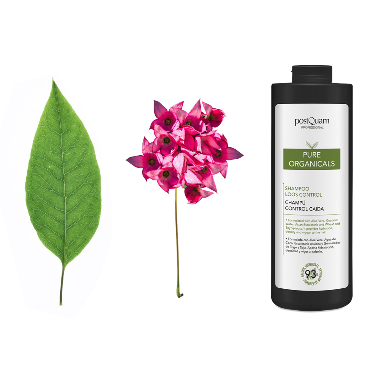 Shampoo Controllo Caduta 1000Ml