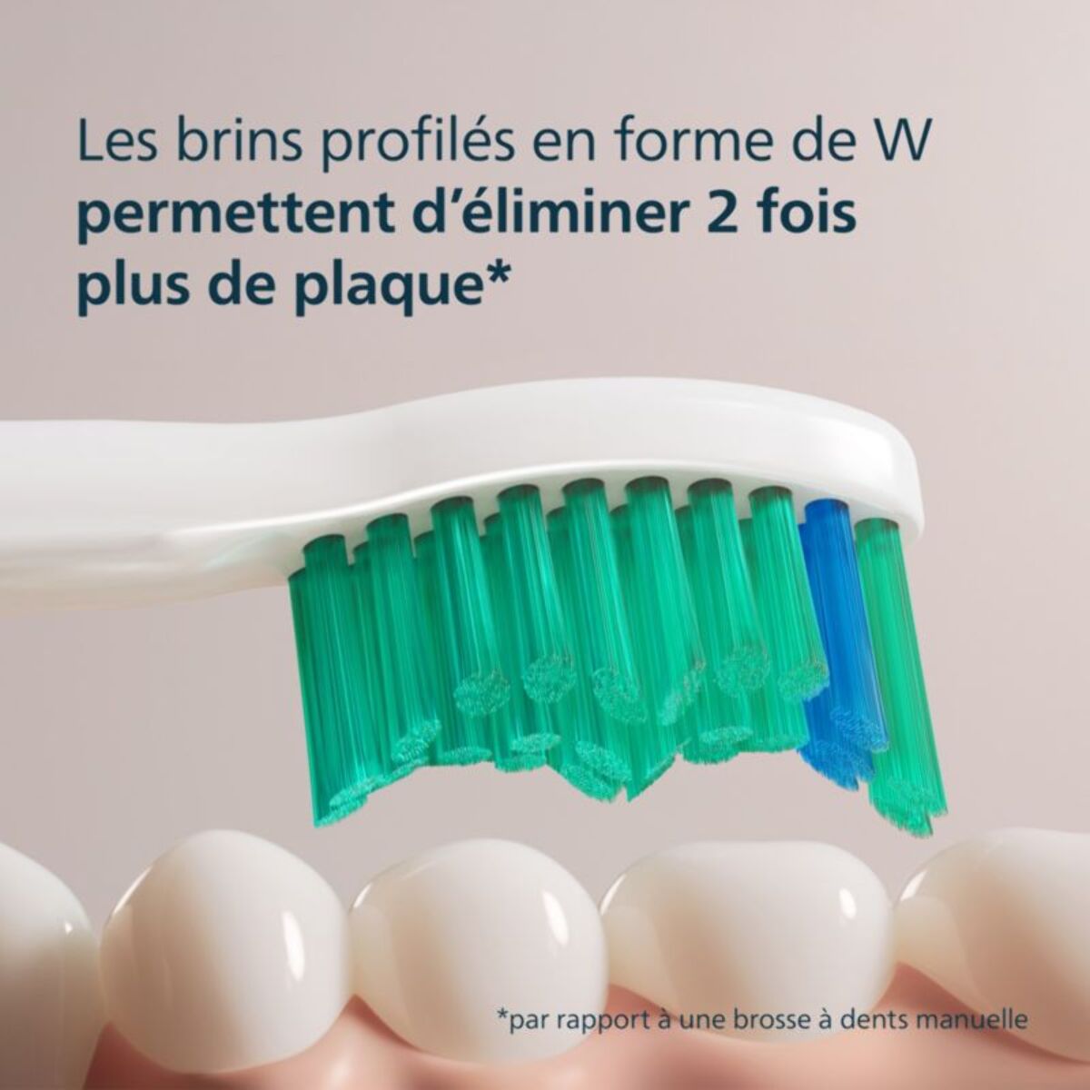 Brossette dentaire PHILIPS Sonicare lot de 2 - HX6012/87 white ProResults C1