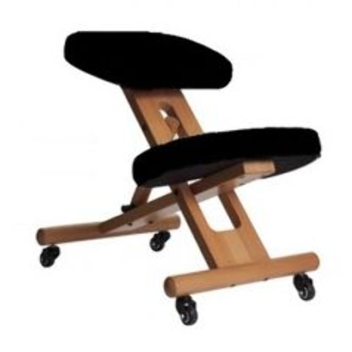 Siège ergonomique SISSEL ergonomique stabido noir