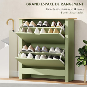 Armoire à chaussures 2 portes abattantes 2 compartiments vert amande naturel